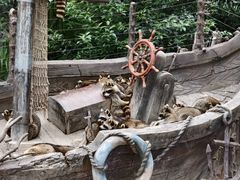 -上海野生动物园老虎餐厅