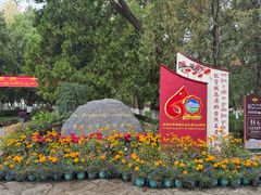 -罗布林卡