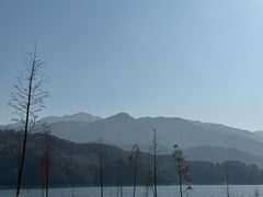 -武汉紫薇都市田园