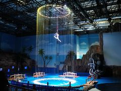 -华夏文旅海洋公园