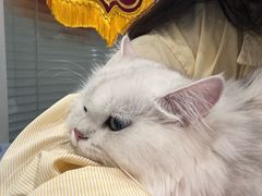 -美迦爱-牙专科·兔科·骨科诊疗中心(北苑店)