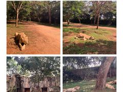 -海南热带野生动植物园