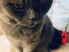 -Rabbit Cafe私房西餐甜点咖啡(栖霞路店)