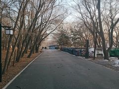 -北陵公园