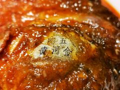 -阿五黄河大鲤鱼(纬三路店)