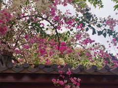 -深圳国际园林花卉博览园