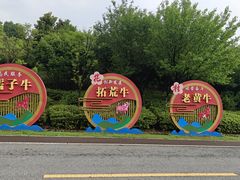 -杏花村文化旅游区