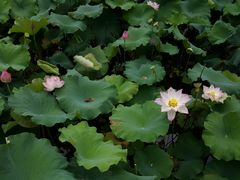 -丝绸小镇荻港古村