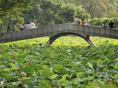-西南交通大学(九里校区)