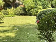 -晓港公园