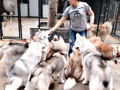 -TrueLove @ Neverland (Husky Cafe)