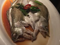 -绿茶餐厅(西单老佛爷店)