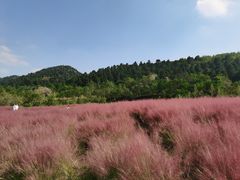 -玉华宫景区