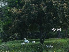 -台州府城(东湖)