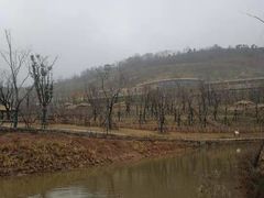 -南京金牛湖风景区