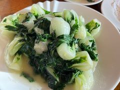 奶白菜-日昌餐馆(亦庄店)