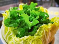 -墨脱石锅椰子鸡•香草鸭•东山羊(大东海店)