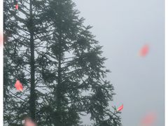 -龙脊梯田