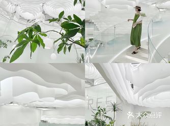 大树餐厅新店 | 最美粤菜馆诞生了️仿佛在云端～
