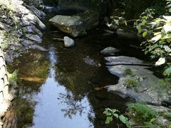 -周洛大峡谷
