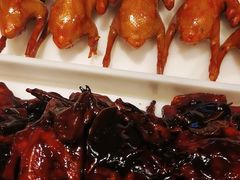 -鸽子窝(青塔店)
