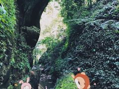 -赤水丹霞旅游区·佛光岩
