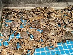 -一方渔歌蒸汽海鲜自助(文化路万达广场店)