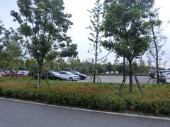 -上海浦江郊野公园·1号停车场