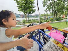 -上海长兴岛郊野公园