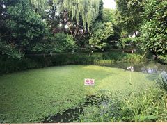 -圩墩遗址公园
