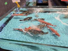 -稻香(第一国际店)