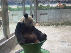 -西安秦岭野生动物园