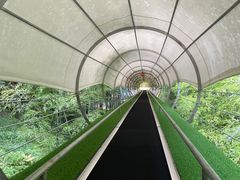 -藏龙百瀑风景区