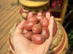 -品德宏·孔雀宴的发源地(金塔园店)