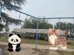 -上美四季动物农场