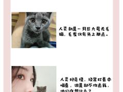 -FAELING PETS美天灵宠物(合生汇店)