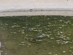 -秦皇岛野生动物园
