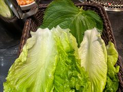 -老熟人烤肉城(马家堡店)