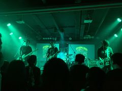 -坚果NUTS