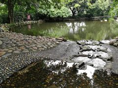 -成都市活水公园
