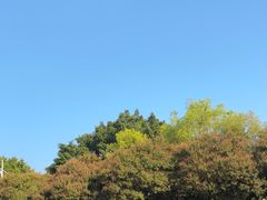 -惠州西湖丰渚园