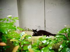 -T80科技文化国际社区-停车场