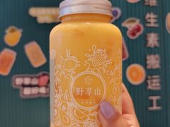-野萃山·潮汕厚果汁(十亩地店)