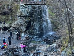 -凤凰山国家森林公园
