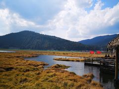 -腾冲北海湿地