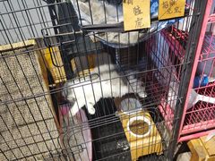 -第三空间·趣味桌游·轰趴.室内CS.剧本杀(大武汉1911店)