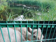 -长白岛森林公园