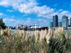 -上海山野camping·户外天幕烧烤·团建拓展营地