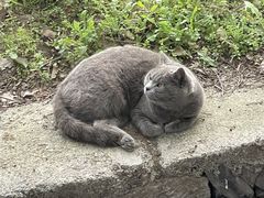 -杭州屏风山越野车营地·团建别墅轰趴民宿