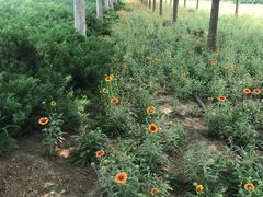 -北运河水利风景区